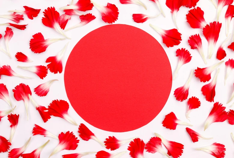 a red circle surrounded by red and white flowers, inspired by Anish Kapoor, shutterstock contest winner, japanese graphic design, red-fabric, sacral chakra, carnation