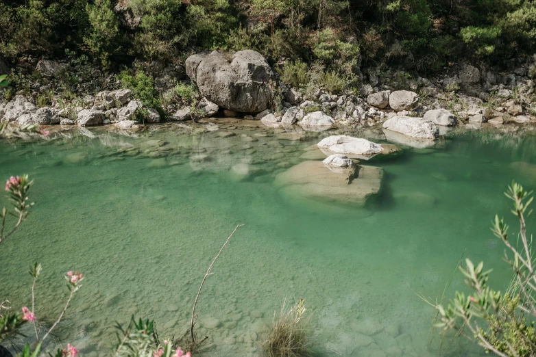 a body of water surrounded by trees and rocks, green oozing pool pit, green grasse trees and river, amanda lilleston, high angle