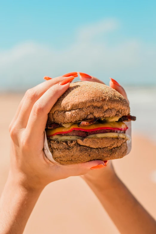 a person holding a sandwich on the beach, by Julia Pishtar, unsplash, renaissance, hamburger monster, red!! sand, 🚿🗝📝, profile image