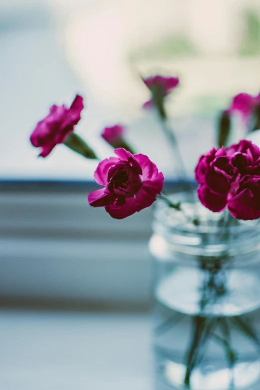 a vase filled with pink flowers sitting on a window sill, unsplash, romanticism, carnation, dynamic closeup, jars, purple - tinted