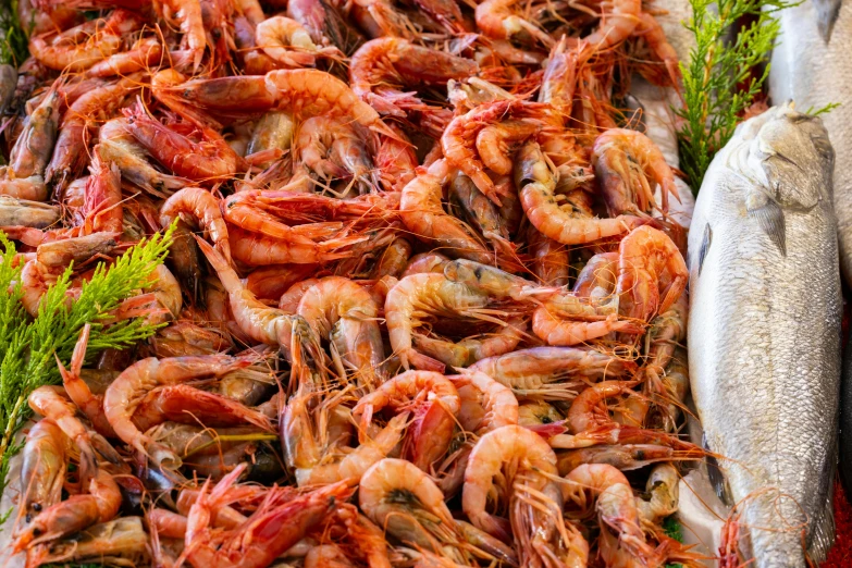 a bunch of fish sitting on top of a table, shrimp, no cropping, thumbnail, up close