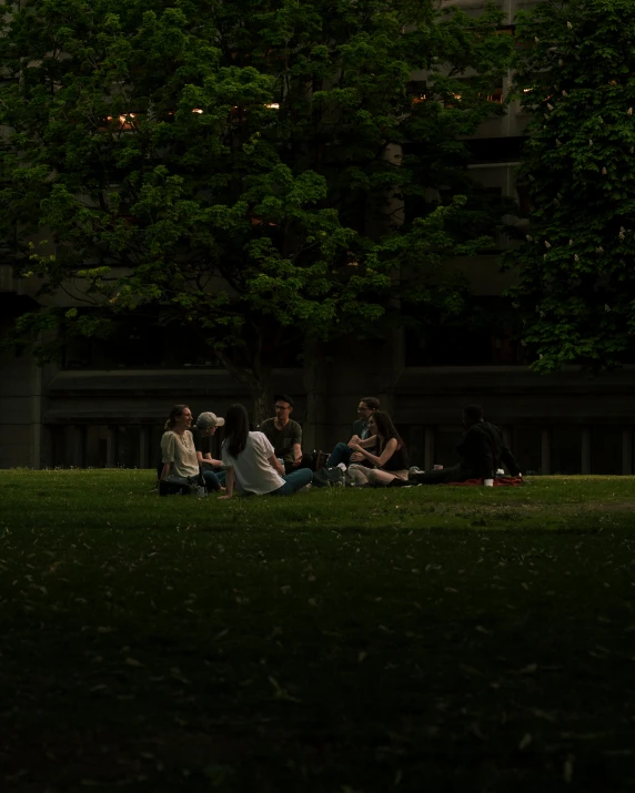 a group of people sitting on top of a lush green field, unsplash contest winner, australian tonalism, in a city square, dark university aesthetic, people outside eating meals, lgbtq