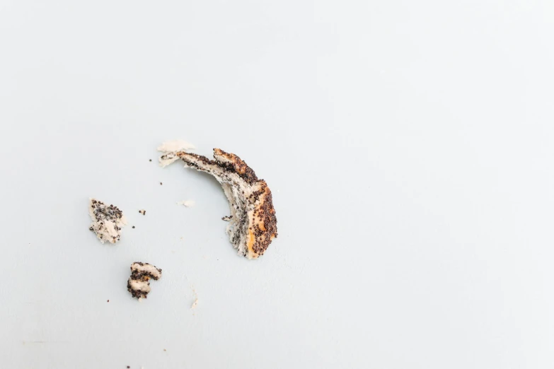 a half eaten banana sitting on top of a table, a macro photograph, by Will Ellis, trending on pexels, minimalism, ashes crystal, made of insects, birch, white background : 3