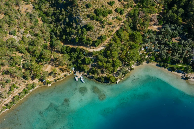 a large body of water surrounded by trees, a photo, pexels contest winner, hurufiyya, greece, picton blue, flatlay, camp