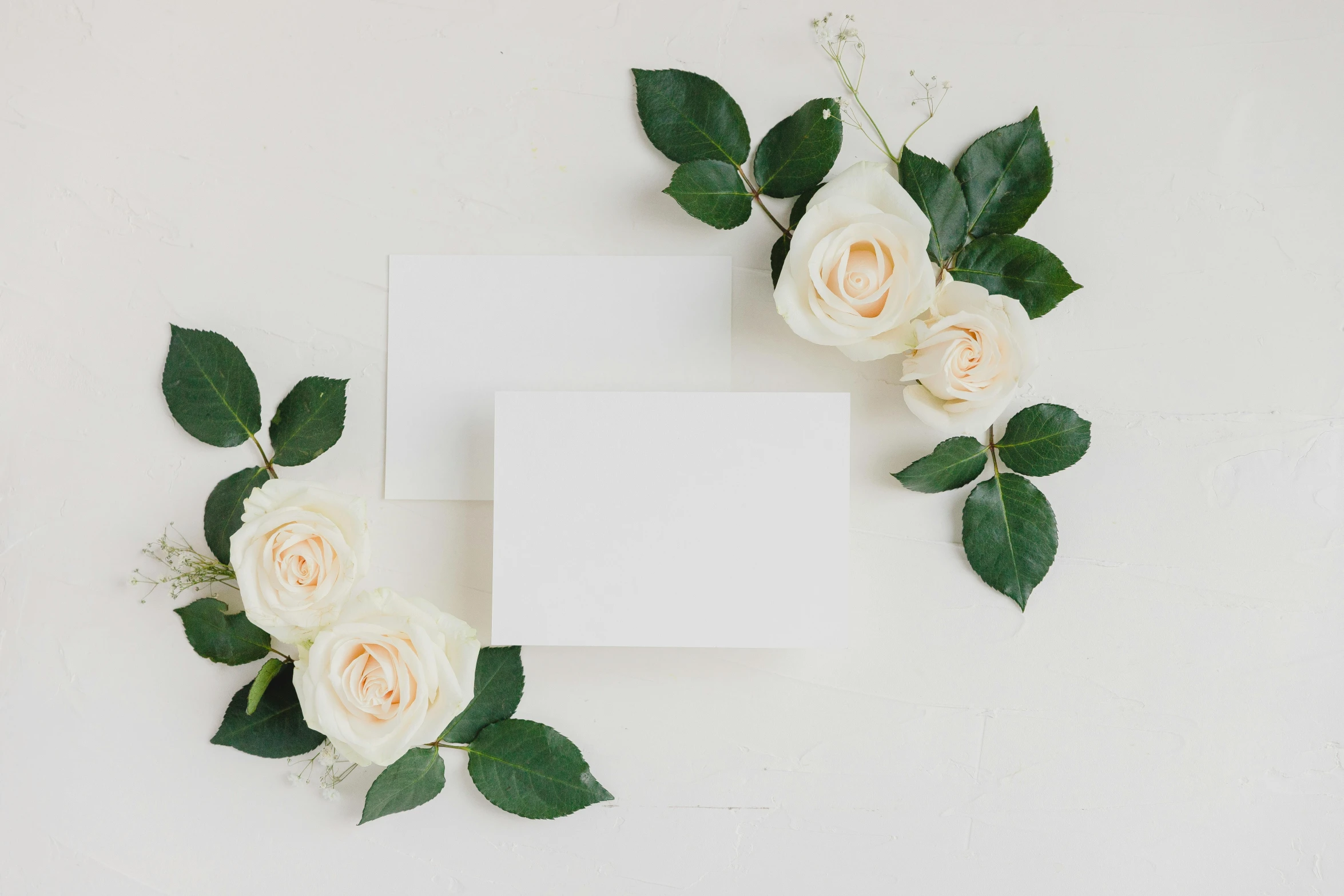 a white card surrounded by white roses and green leaves, pexels contest winner, romanticism, clean minimalist design, creamy, 4 k post, with a white