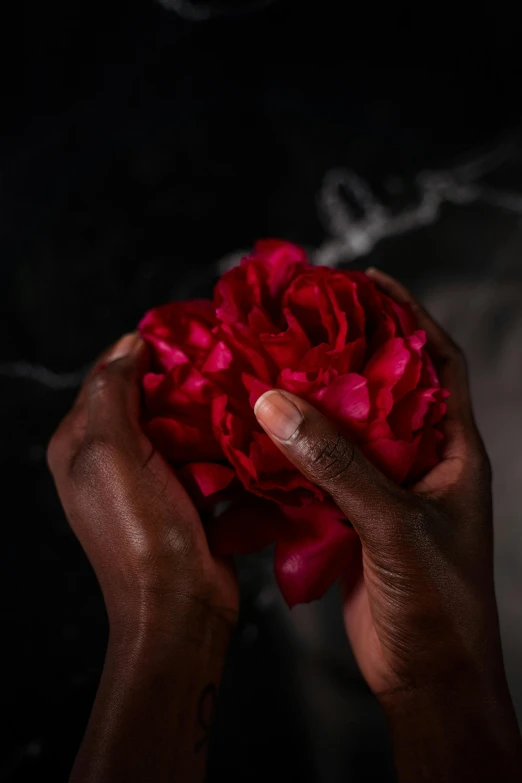 a person holding a red flower in their hands, dark skinned, dramatic product shot, rose twining, holding each other