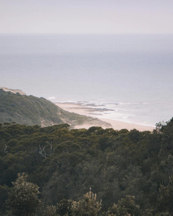 a view of the ocean from the top of a hill, by Liza Donnelly, unsplash contest winner, australian tonalism, beach is between the two valleys, grey forest in the background, slightly tanned, farming