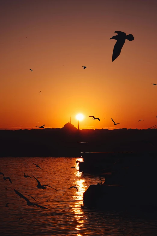 a flock of birds flying over a body of water, pexels contest winner, hurufiyya, istanbul, sun sunset, film photo, harbour