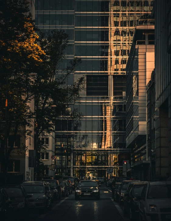 a city street filled with lots of tall buildings, a photo, by Alexander Bogen, pexels contest winner, modernism, backlighted, glass and steel, parking in the street, city buildings on top of trees