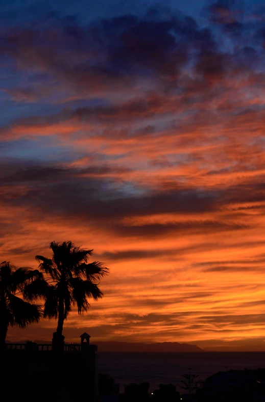 a sunset with palm trees in the foreground, by Dave Melvin, romanticism, atmospheric clouds', goodnight, # nofilter, today\'s featured photograph 4k