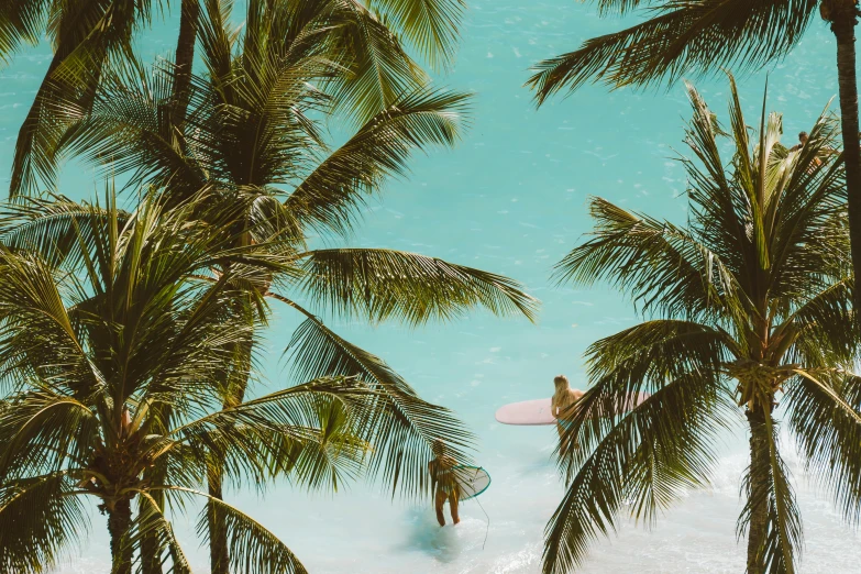 a man riding a wave on top of a surfboard, pexels contest winner, fine art, tropical trees, teal and pink, coconuts, flatlay