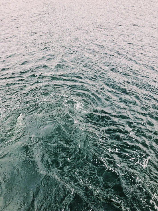 a person riding a surf board on top of a body of water, inspired by Elsa Bleda, trending on unsplash, hurufiyya, water ripples, dark green water, photo taken from a boat, ignant