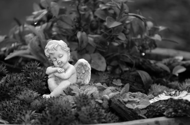 a black and white photo of a little angel figurine, a black and white photo, inspired by Correggio, pexels, garden environment, miniature model, sleepy, delightful surroundings