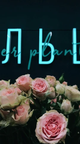 a bouquet of pink roses in front of a neon sign, inspired by Petr Brandl, unsplash, international typographic style, inhabited initials, at the party, located in hajibektash complex, luxury brand