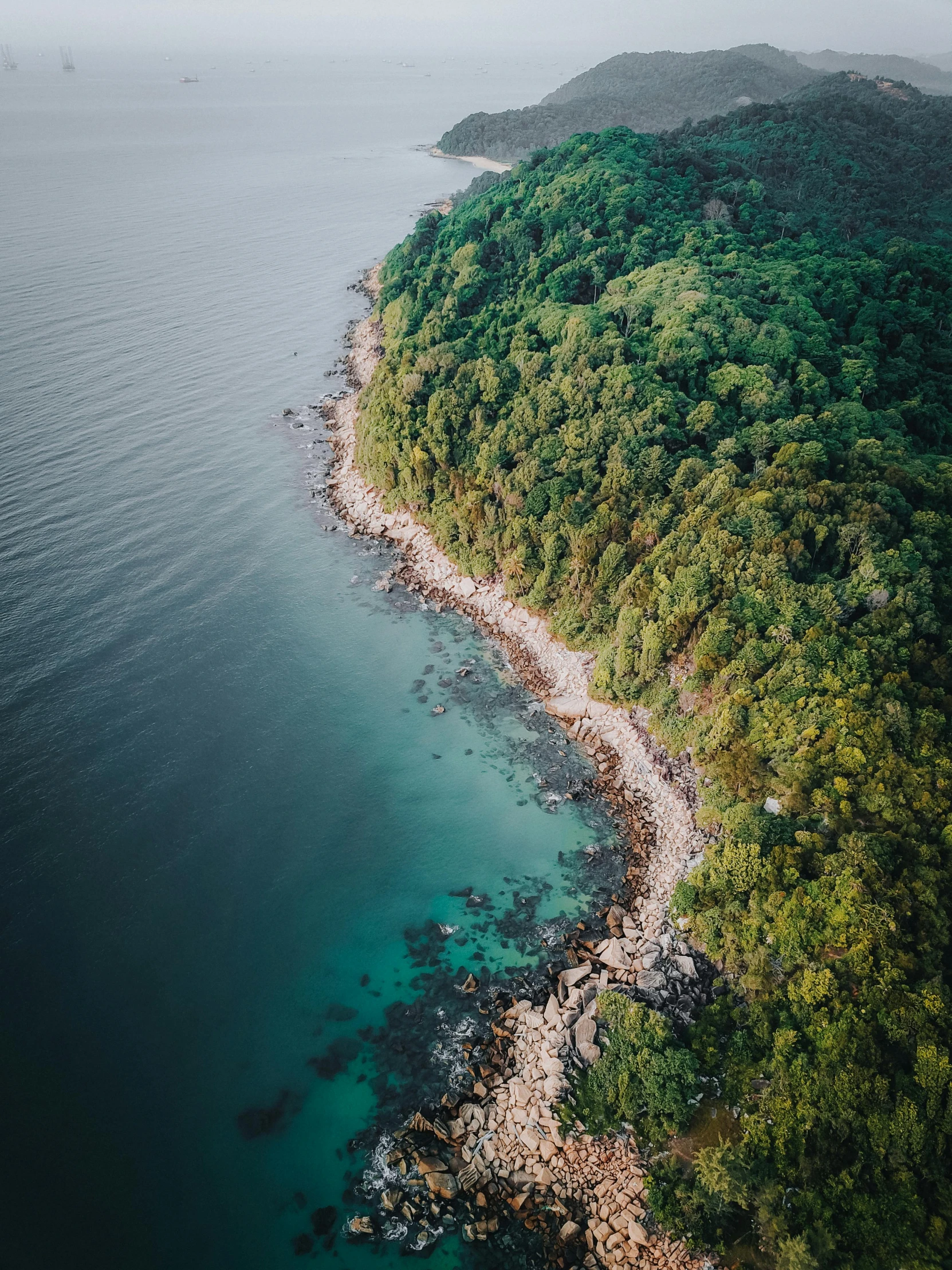 an island in the middle of a body of water, pexels contest winner, looking down at the forest floor, beach and tropical vegetation, calmly conversing 8k, manly