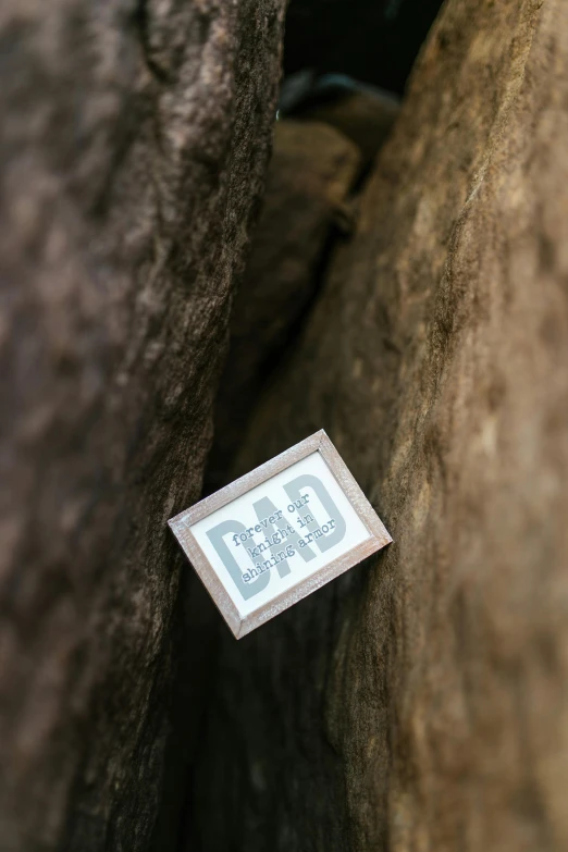 a close up of a sign on a rock, a picture, dad, square pictureframes, top - down photograph, digital image