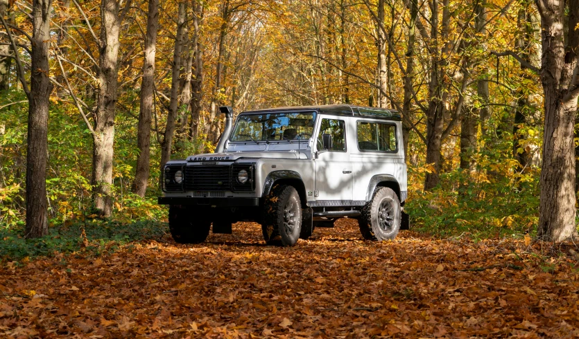 a white land rover driving through a forest, a portrait, by Daniel Seghers, unsplash, renaissance, during autumn, square, grey metal body, london