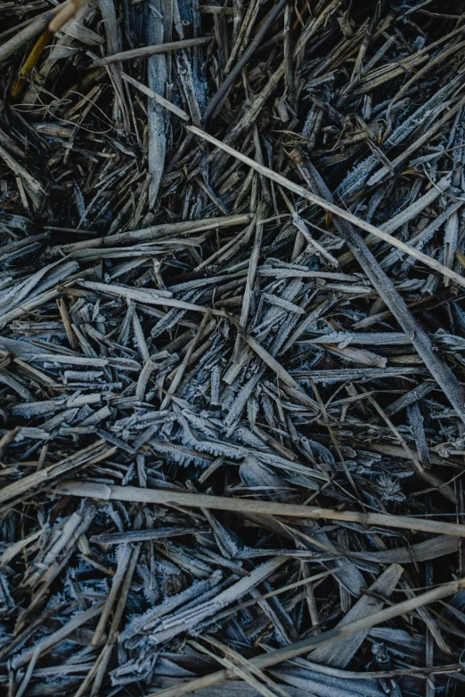 a yellow fire hydrant sitting on top of a pile of sticks, an album cover, by Attila Meszlenyi, unsplash, blue gray, detail texture, carbon fibers, frost