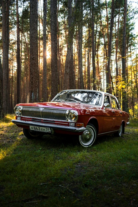 a red car parked in the middle of a forest, moskvich, profile image, evening lighting, silver crown