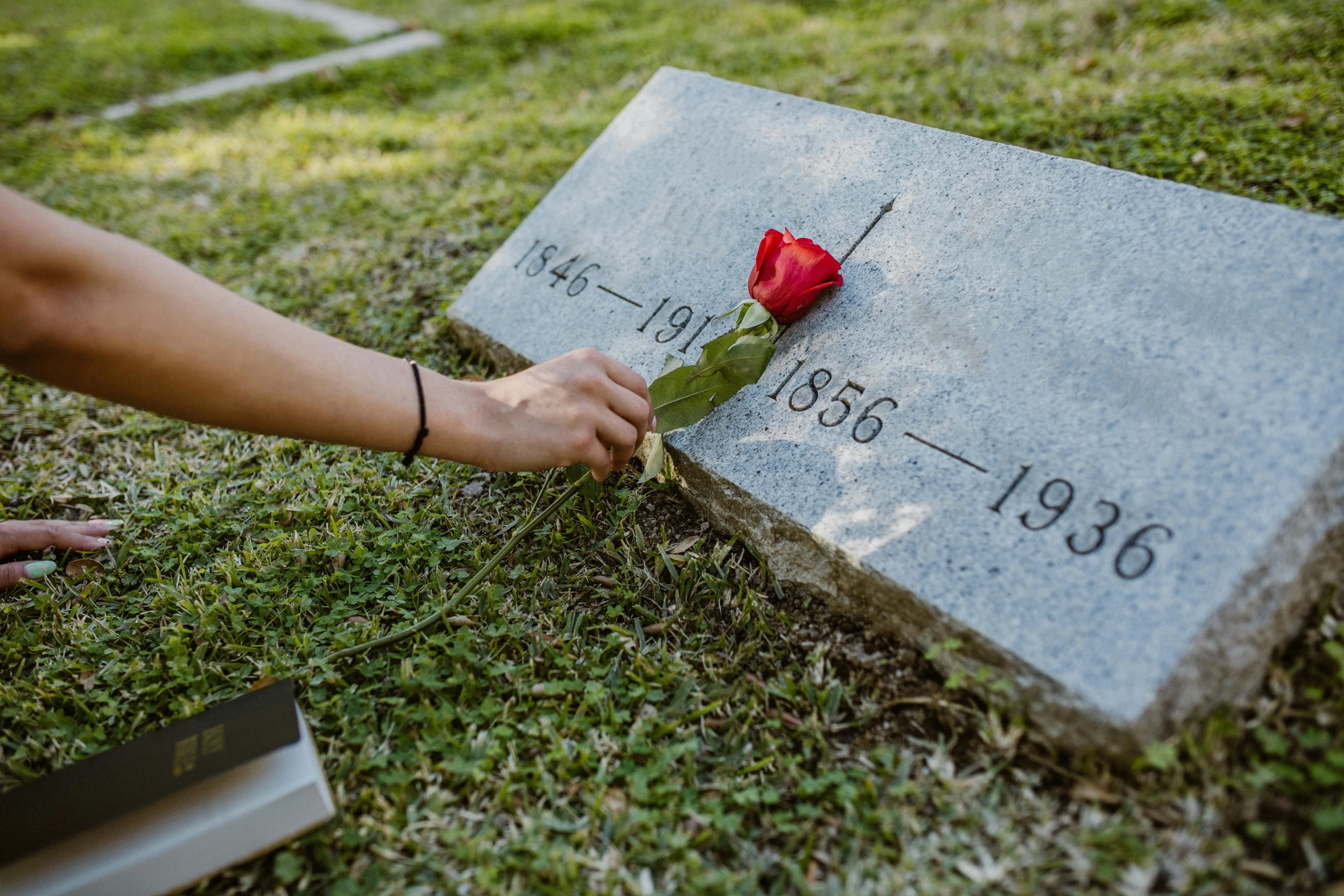 a person placing a rose on a grave, profile image, rectangle, fan favorite, item