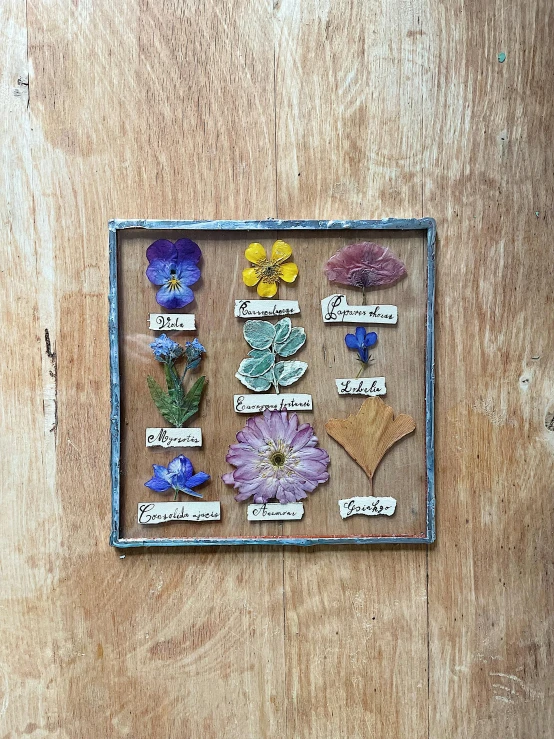 a picture of a picture of a bunch of flowers, inspired by Joseph Cornell, unsplash, ecological art, embedded in clear epoxy, with names, 1900's, natural mini gardens