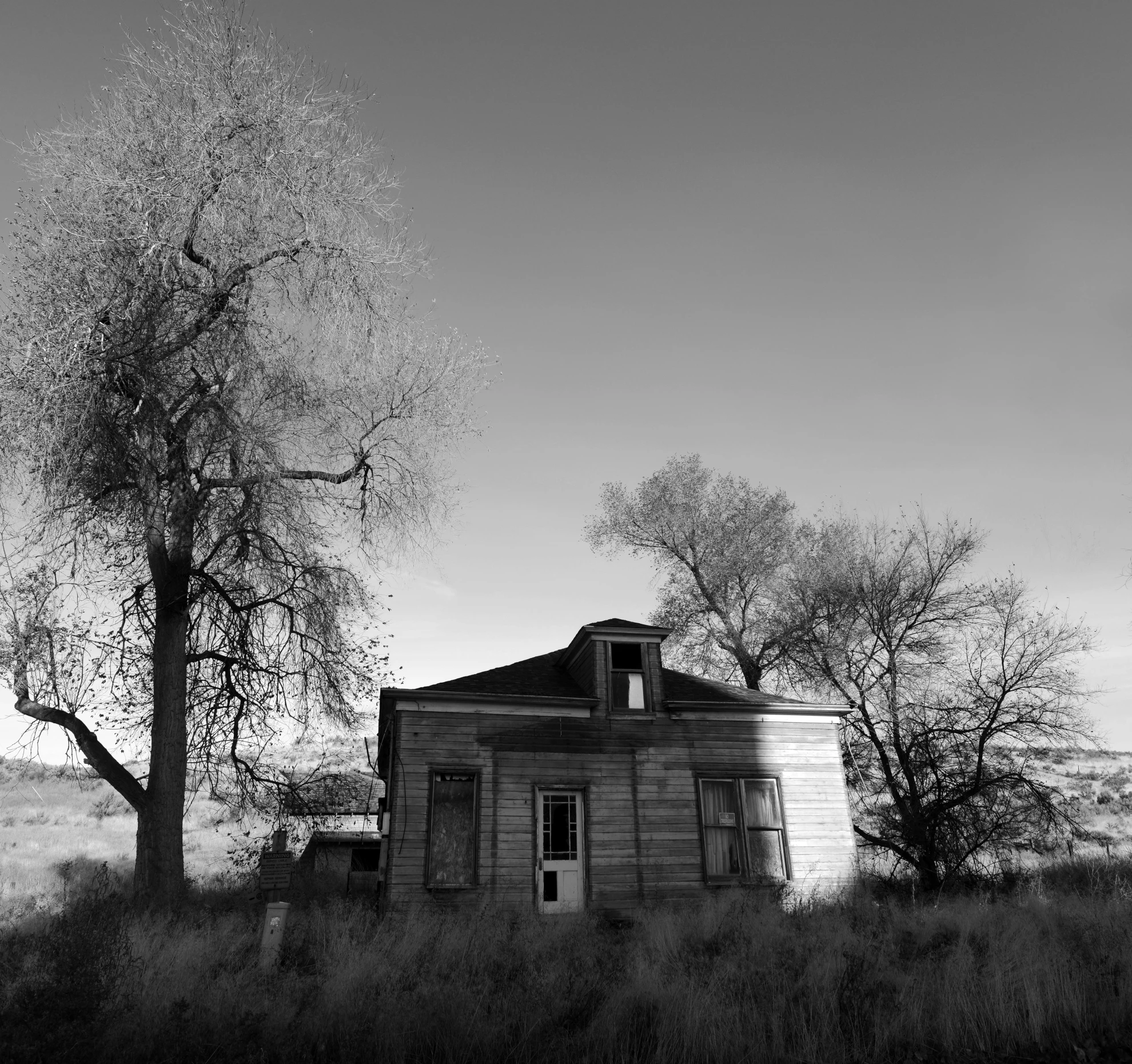 a black and white photo of an old house, inspired by Dorothea Lange, flickr, surrealism, background image, some trees in the corner, tumbleweeds, spooky photo