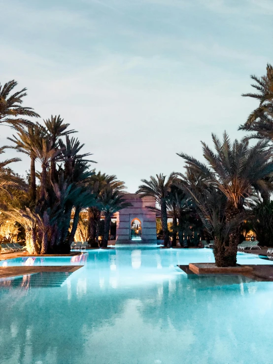 a large swimming pool surrounded by palm trees, inspired by Ricardo Bofill, renaissance, profile image