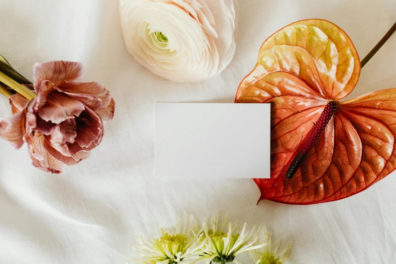 a white card sitting on top of a bed next to flowers, by Carey Morris, pexels contest winner, turban of vibrant flowers, sustainable materials, background image, white background