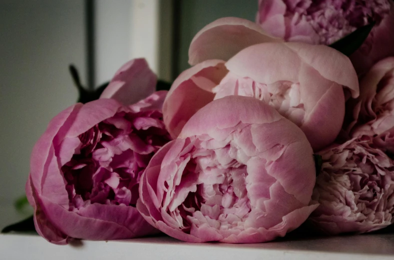 a bunch of pink flowers sitting on top of a table, inspired by Allan Ramsay, pexels contest winner, peony flower, edible flowers, intricate wrinkles, long petals