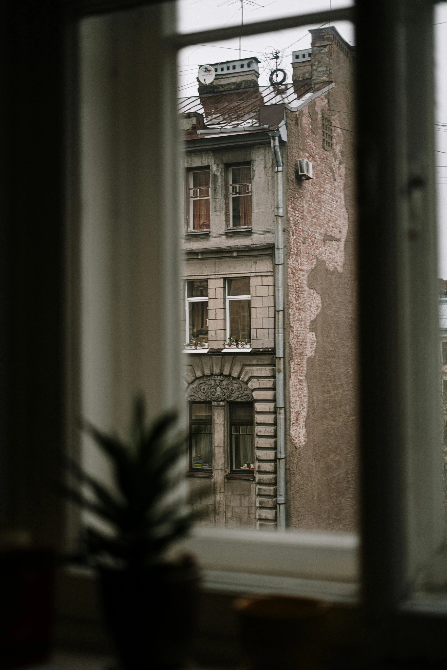 a potted plant sitting on top of a window sill, inspired by Kazimierz Alchimowicz, unsplash contest winner, old buildings, view from across the street, scratches on photo, grey sky