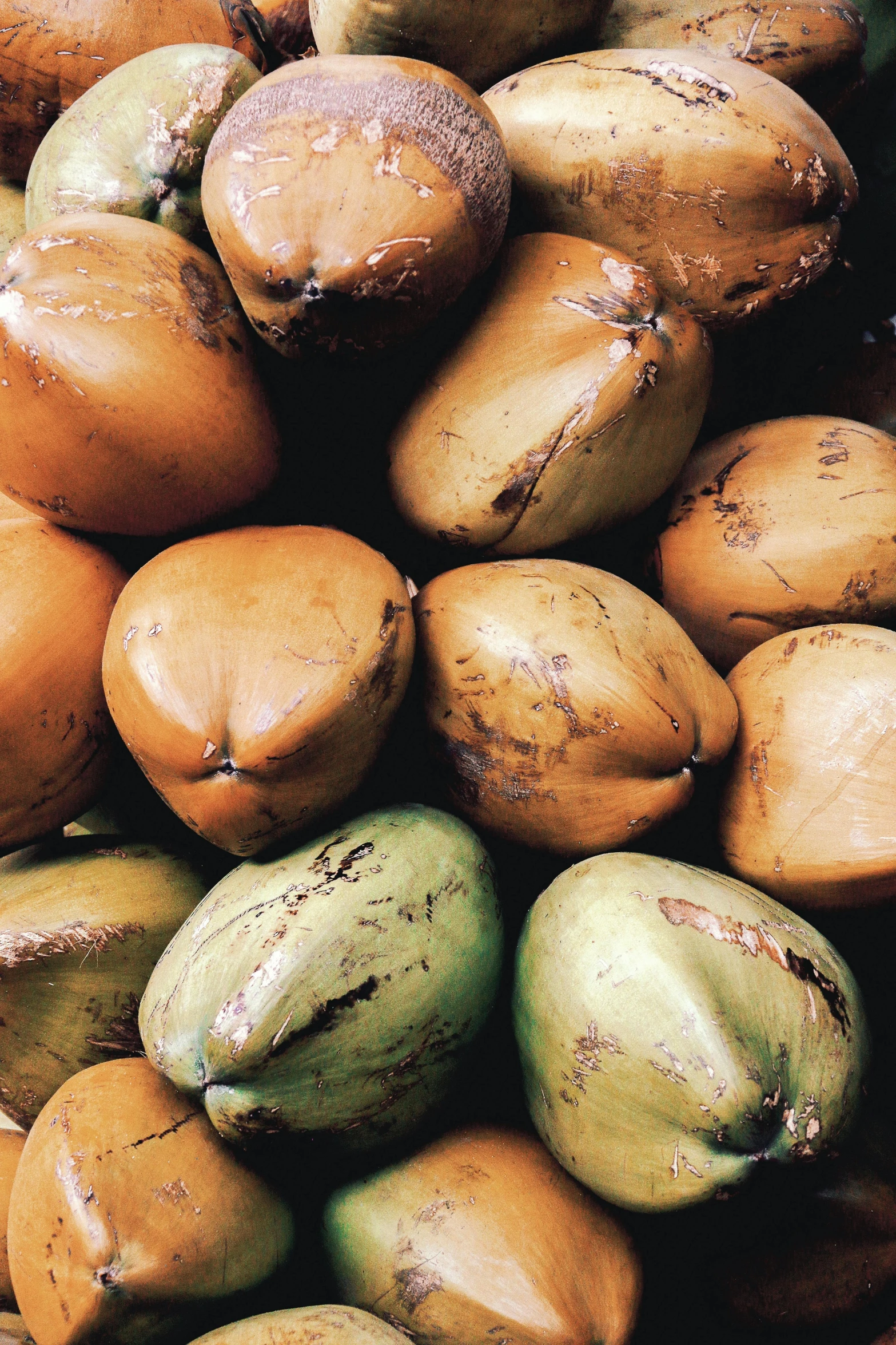 a pile of coconuts sitting on top of each other, by Elizabeth Durack, hurufiyya, close - up of the faces, potatoes, thumbnail, tamandua