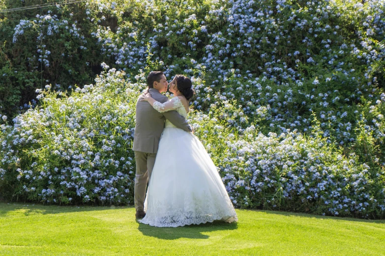 a bride and groom kissing in front of a bush of blue flowers, royal garden landscape, in the sun, manuka, brown