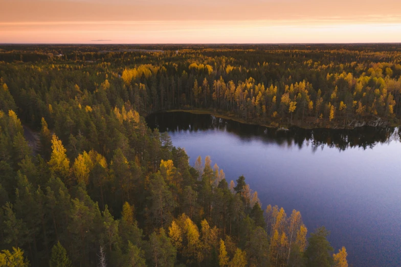 a large body of water surrounded by trees, by Jaakko Mattila, pexels contest winner, hurufiyya, in an evening autumn forest, wide high angle view, fine art print, summer evening