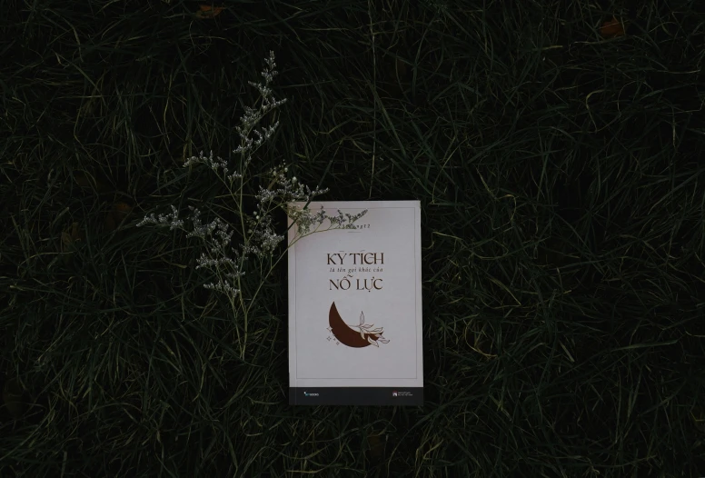 a book sitting on top of a lush green field, a poster, inspired by Ruth Jên, unsplash contest winner, lyco art, white moon and black background, koto no ha no niwa, background image, exterior shot