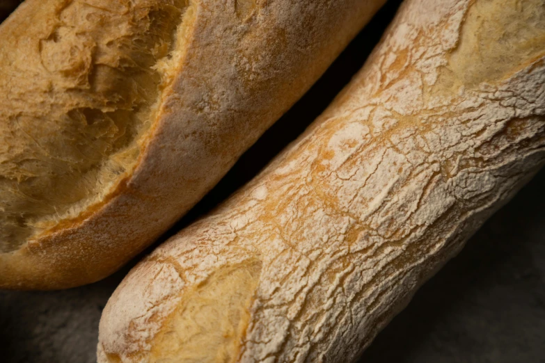 two loafs of bread sitting next to each other, a portrait, unsplash, baking french baguette, fine texture detail, thumbnail, shot with sony alpha