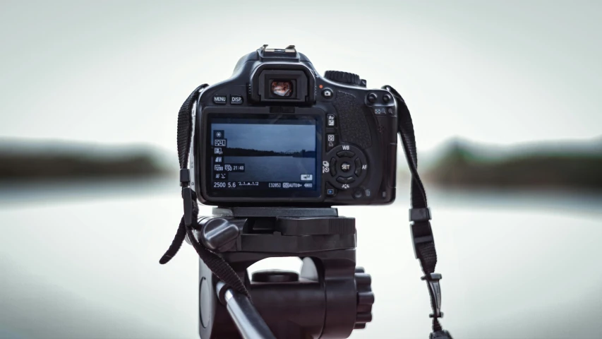 a close up of a camera on a tripod, looking towards the camera, lcd screen, photographs, back to the camera