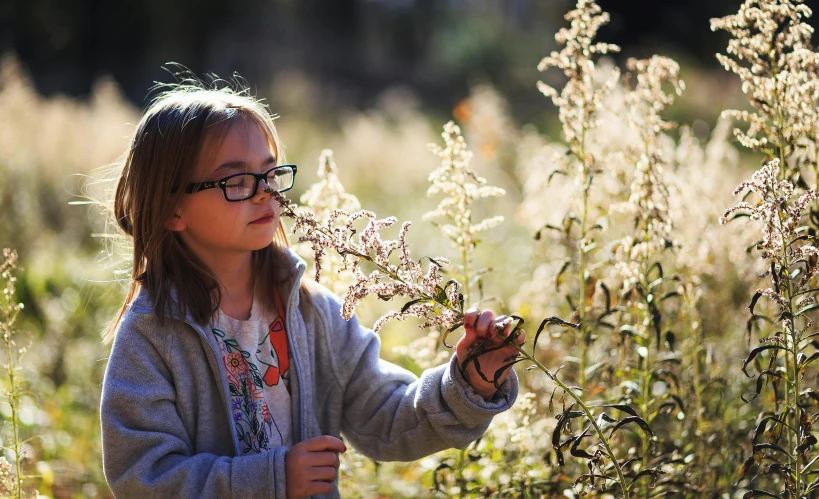 a little girl standing in a field of tall grass, unsplash, the autumn plague gardener, australian wildflowers, girl with glasses, light toned