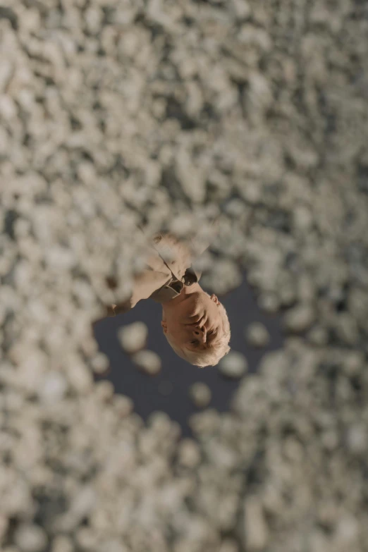 a face is seen through a hole in the ground, a macro photograph, inspired by Jeremy Geddes, unsplash contest winner, conceptual art, seashell, flying shot, very sparse detail, photograph taken in 2 0 2 0