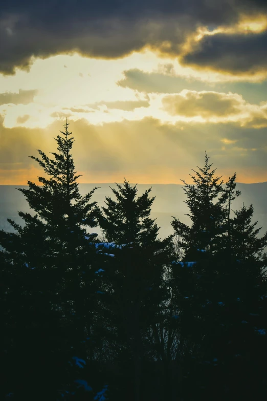 a couple of trees sitting on top of a snow covered slope, by Jacob Burck, unsplash contest winner, hudson river school, sunbeams at sunset, evergreen, today\'s featured photograph 4k, 🌲🌌