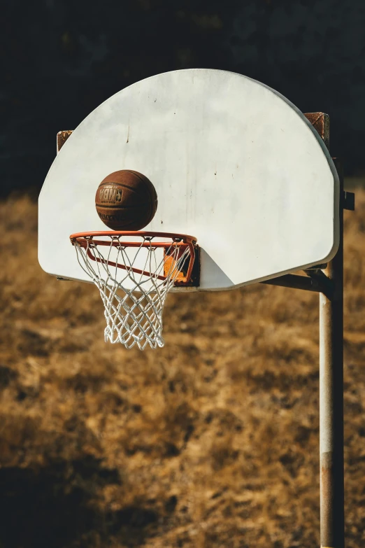 a basketball hoop with a basketball inside of it, field of dreams, paul barson, like a catalog photograph, 15081959 21121991 01012000 4k