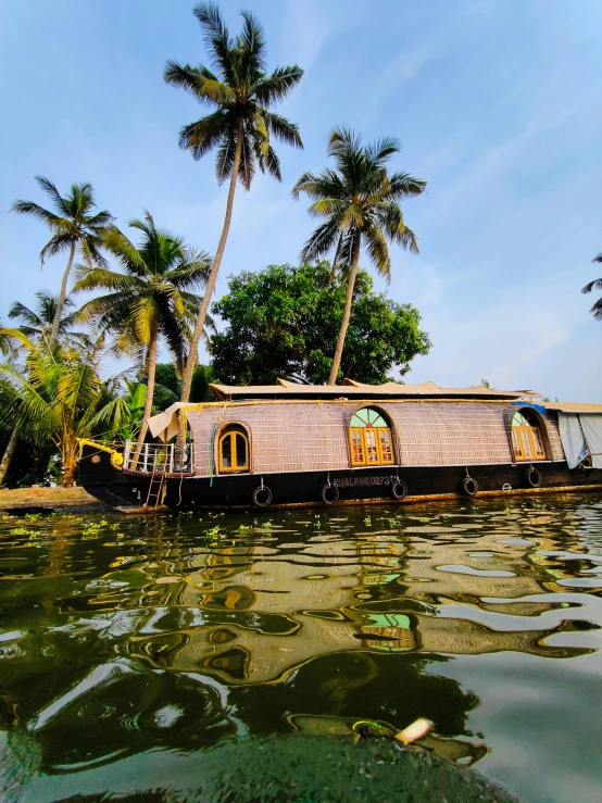 a house boat in the middle of a body of water, coconut trees, profile image