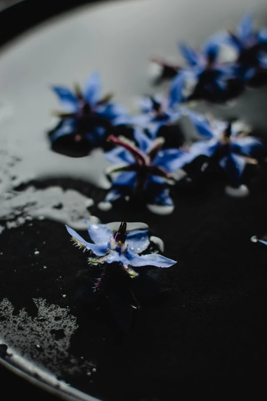 a black plate topped with blue flowers on top of a table, by Jacob Toorenvliet, unsplash, hurufiyya, nymph in the water, dark purple swamp, chile, floating pieces