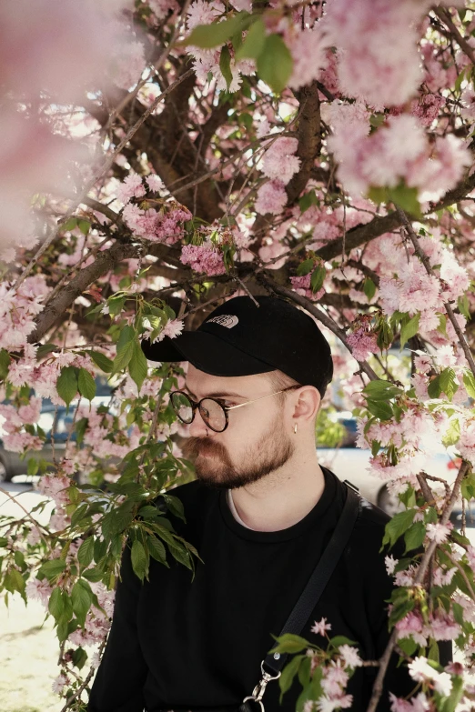 a man standing under a tree with pink flowers, an album cover, inspired by Dan Smith, unsplash, aestheticism, justin roiland, headshot profile picture, ignant, snacks