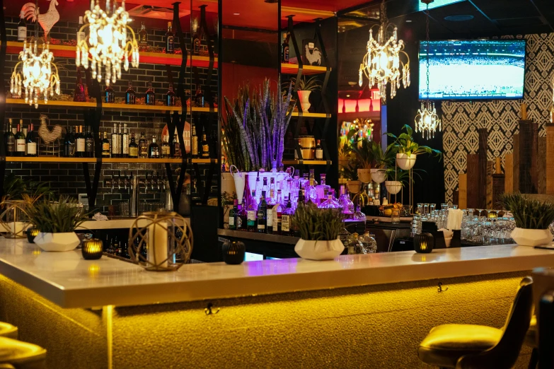 a bar filled with lots of bottles of wine, unsplash, art nouveau, purple and yellow lighting, flowers around, with ornate jewelled, hollywood standard