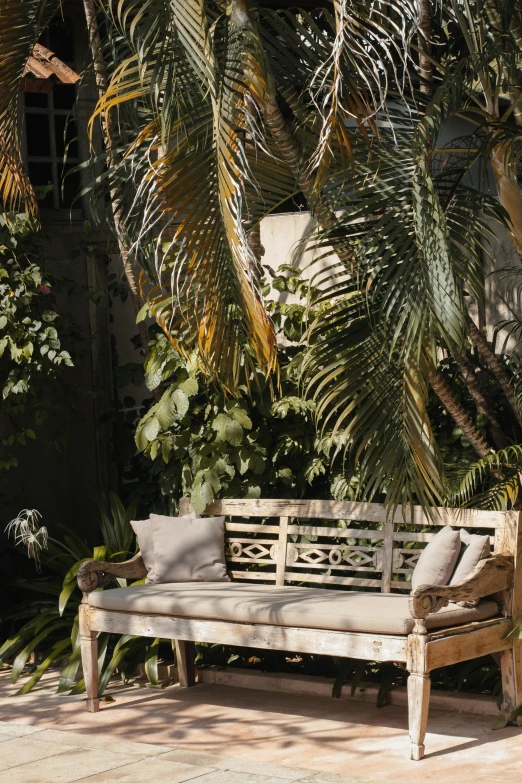 a wooden bench sitting under a palm tree, a portrait, inspired by Riad Beyrouti, unsplash, garden environment, old couch, full daylight, canopy