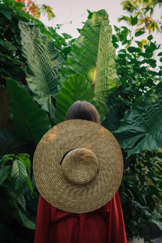 a woman in a red dress and a straw hat, pexels contest winner, lush greenery, back facing, big leaves, sustainable materials