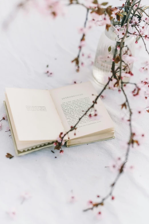 an open book sitting on top of a table next to a vase of flowers, trending on unsplash, romanticism, plum blossom, overhanging branches, white poet shirt, with a white background