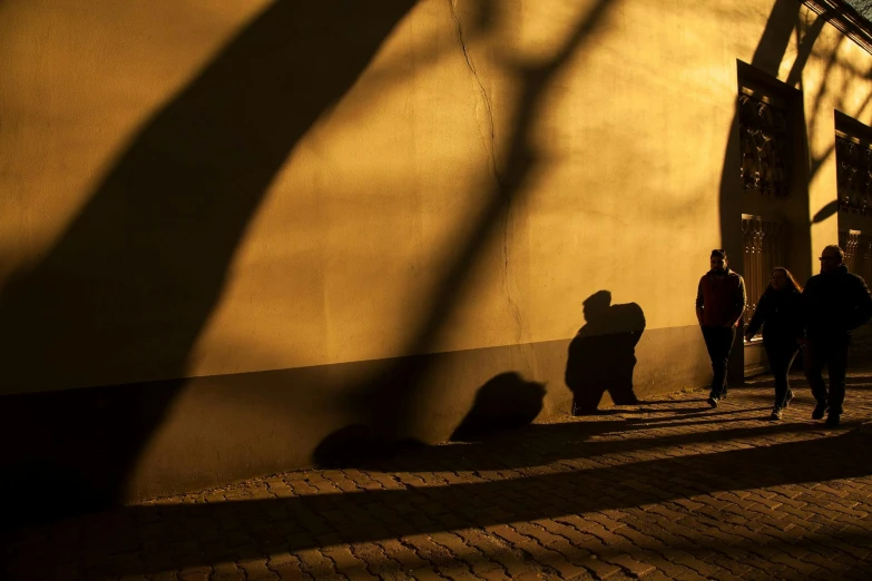 a group of people walking down a sidewalk next to a building, by Eglon van der Neer, pexels contest winner, warm golden backlit, shadow play, waiting behind a wall, national geographic photo