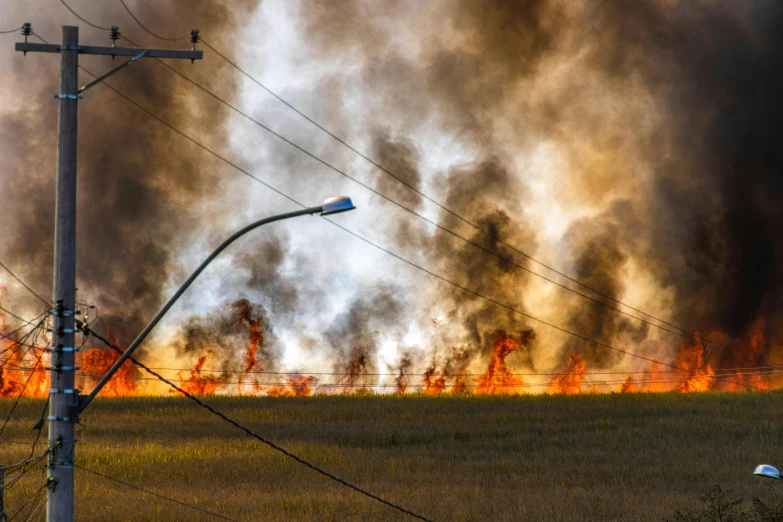 a fire that is in the middle of a field, pexels contest winner, thick cables whipping around, profile image, environmental, panels