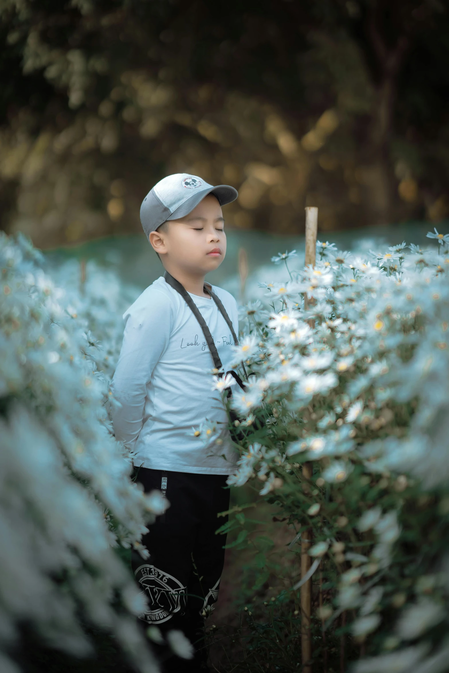 a little boy standing in a field of flowers, a picture, by Yosa Buson, pexels contest winner, with soft bushes, avatar image, mai anh tran, light blues